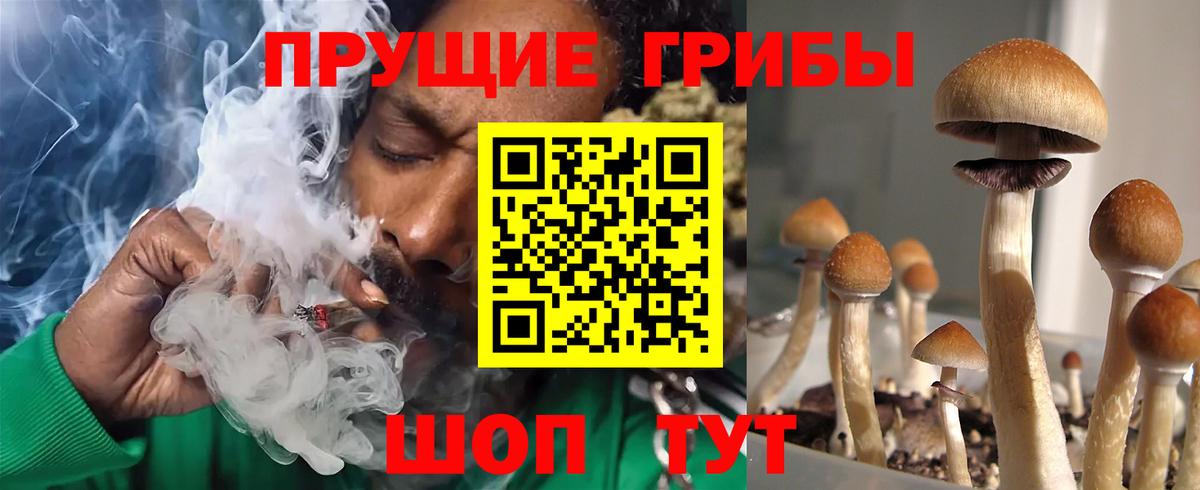 где продают   Вход с VPN  Большой Камень  Псилоцибиновые грибы Psilocybine cubensis 