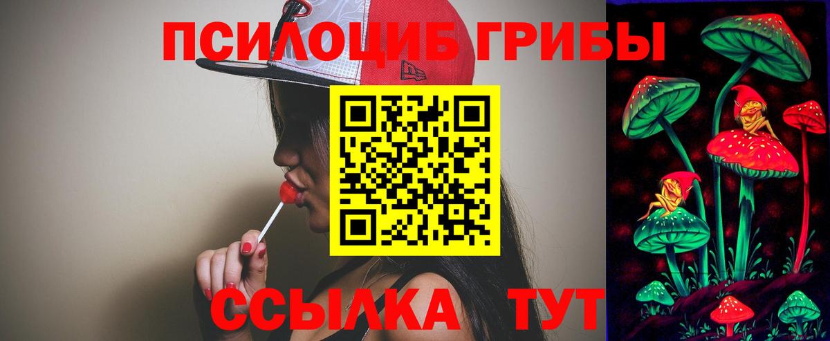 Псилоцибиновые грибы прущие грибы Большой Камень